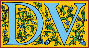 Design Visions logo